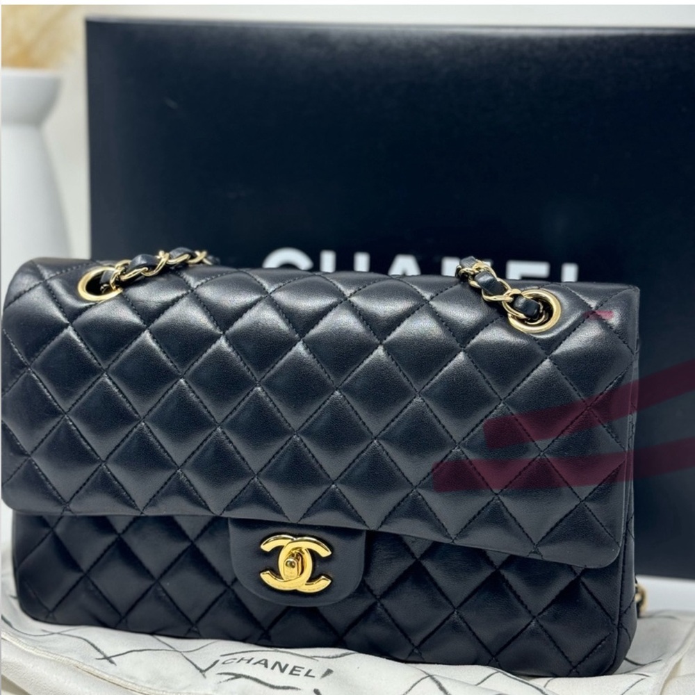 Chanel Classic Quilted Medium Double Strap Lambskin Bag-GHW